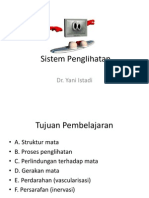 Anatomi Sistem Penglihatan