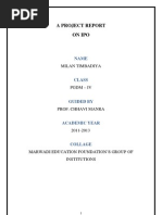 Download Ipo Report by Krishna Kanth SN124779874 doc pdf