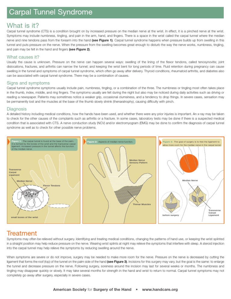 Carpal Tunnel Syndrome | PDF | Carpal Tunnel Syndrome | Hand