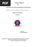Download Content Management System by rv0000s SN124785920 doc pdf