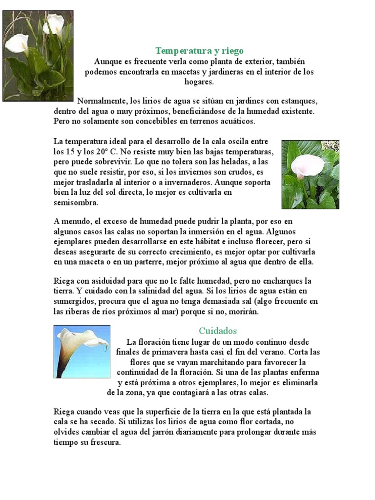 Cuidados de La Cala | PDF | Flores | Agua