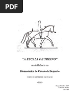 Escala de Treino