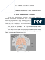 Anatomie