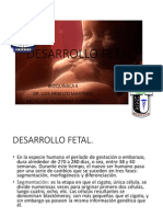 Desarrollo Fetal