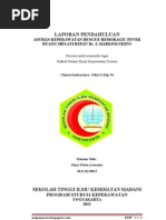 Download LAPORAN PENDAHULUAN DENGUE HEMORAGIC FEVER DHF RUANG MELATI RSPAU Dr S HARDJOLUKITO - LANUD ADISUTJIPTO YOGYAKARTA by Satya Putra Lencana SN124823789 doc pdf