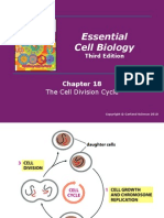 Lecture20 21cell Cycle Apoptosis