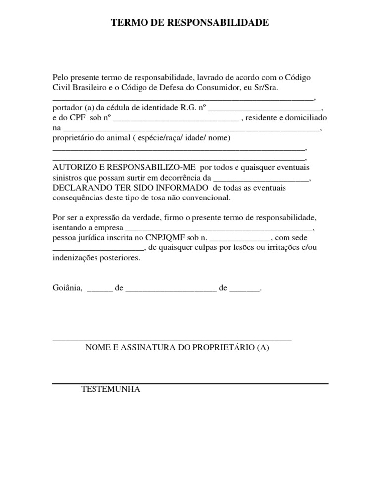 Termo de Responsabilidade para Serviço Especial PDF