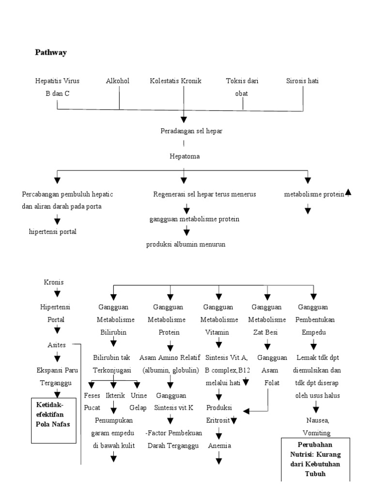 Pathway Sirosis