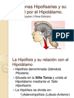 56196704 Hormonas Hipofisarias y Su Control Por El Hipotalamo