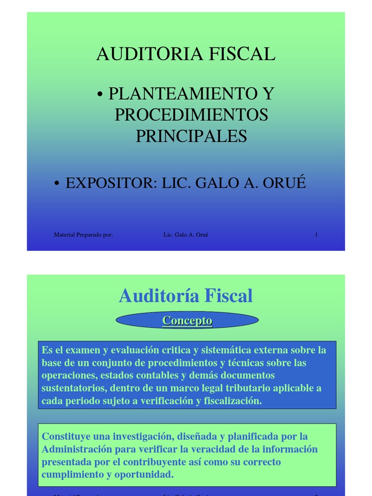 Auditoria Fiscal Informacion Y Procedimientos Faciles Pdf Auditoría
