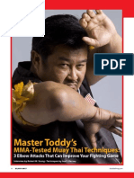 Muay Thai Guide