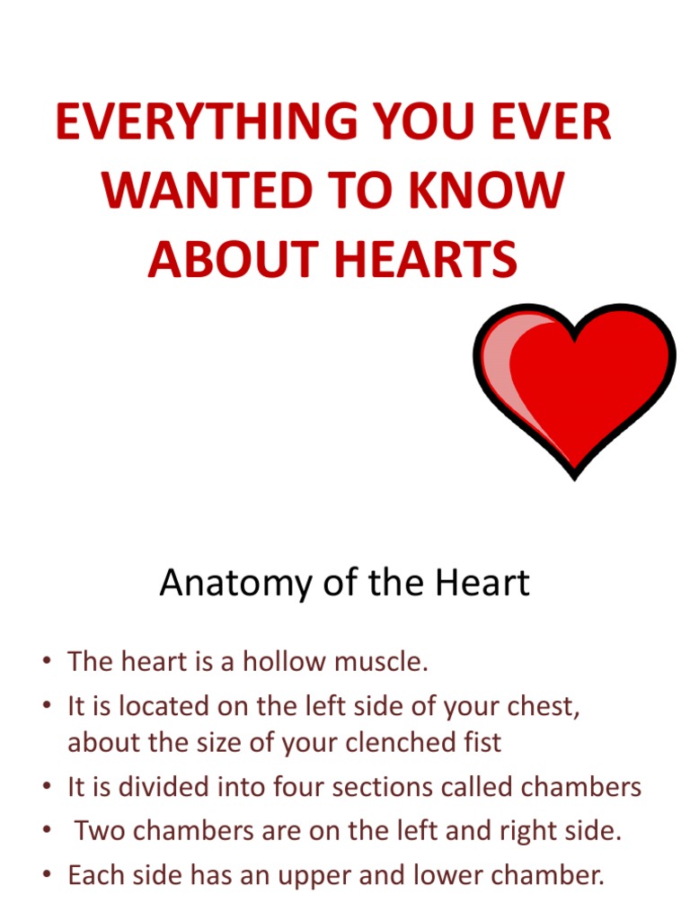 Everything You Ever Wanted To Know About Hearts | PDF | Religion ...