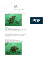 Download Pakan Lele Organik by Rinaldy Manurung SN124898808 doc pdf