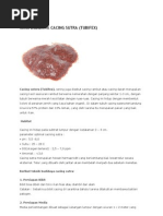 Download Cara Budidaya Cacing Sutra by Rinaldy Manurung SN124898909 doc pdf