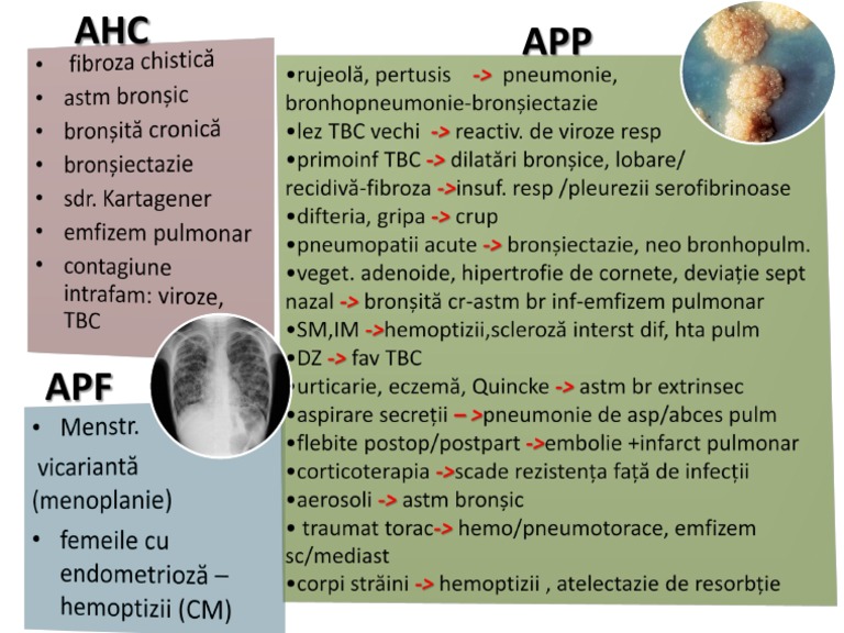 AHC and APF App Overview | PDF