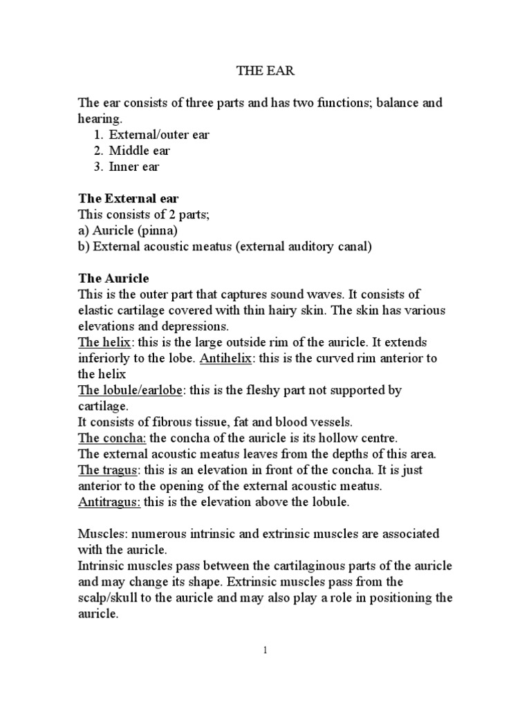Anatomy and Functions of the Ear: A Comprehensive Overview of the ...