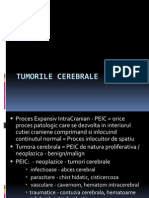 Tumorile Cerebrale