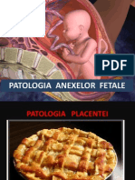 Patologia anexelor fetale