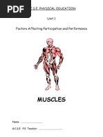 Download Muscles Physical Education by dididur SN124979384 doc pdf
