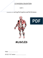 Muscles Physical Education