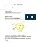 A CÉLULA E A ENERGIA