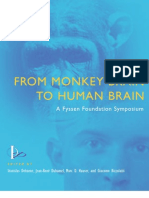 From Monkey Brain To Human Brain