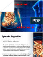 Presentacion Aparato Digestivo.pptx