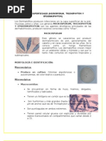 Informe de Microsporum