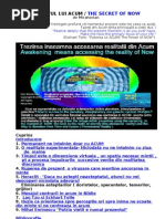 Download SECRETUL LUI ACUM  THE SECRET OF NOW  by MIRAHORIAN SN125040244 doc pdf