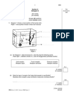 Excel 2 Pmr 2010 p2