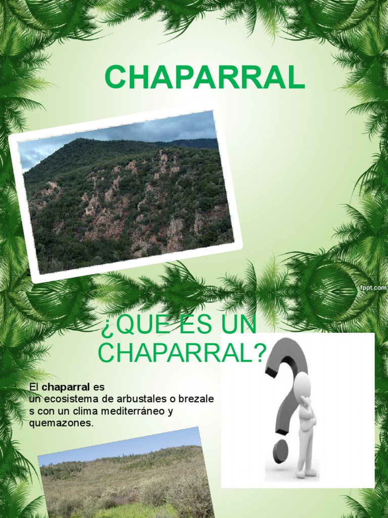 Características del ecosistema chaparral | PDF | Ciencias de la Tierra ...