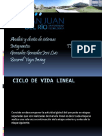 Análisis Ciclo Vida Lineal Sistemas