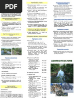 Isdang Malapad | PDF