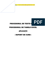 Procesorul de Texte Word Excel