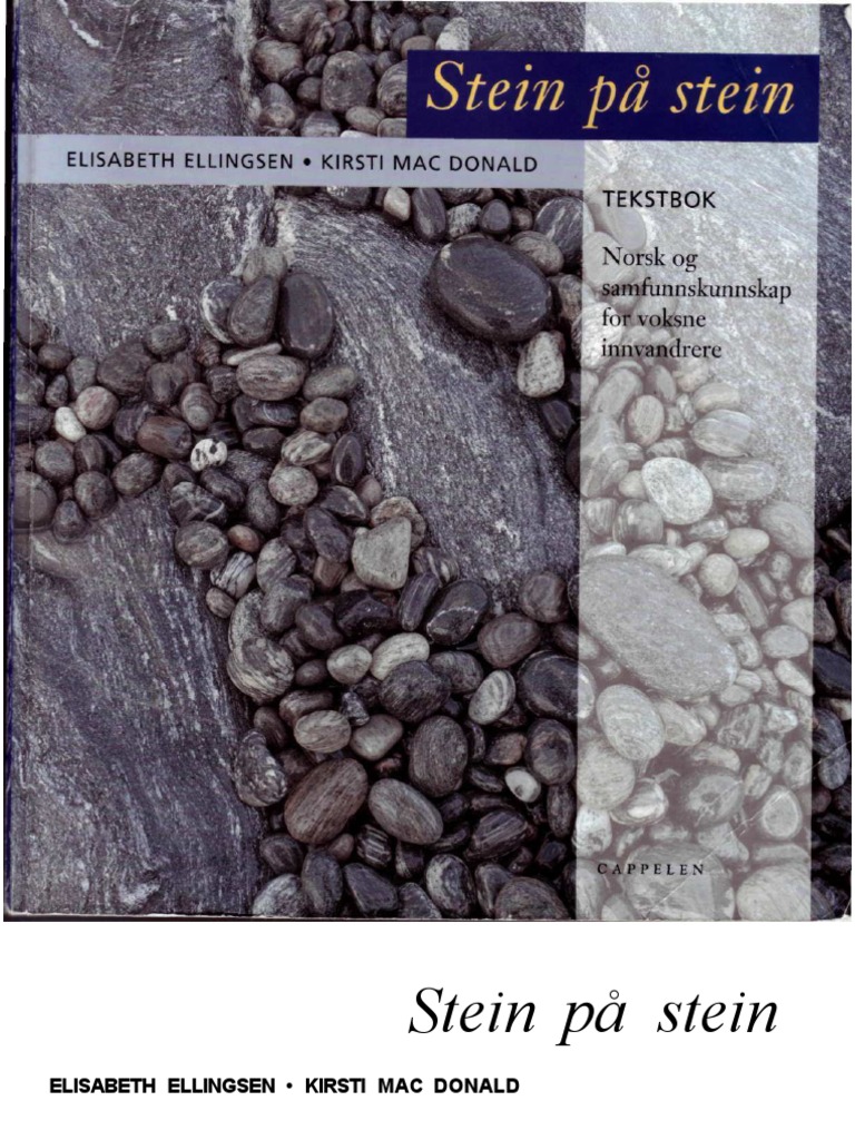 stein-p-stein-tekstbok-pdf