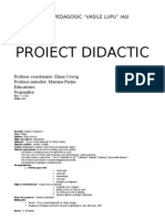 Proiect didactic grupa mare.doc