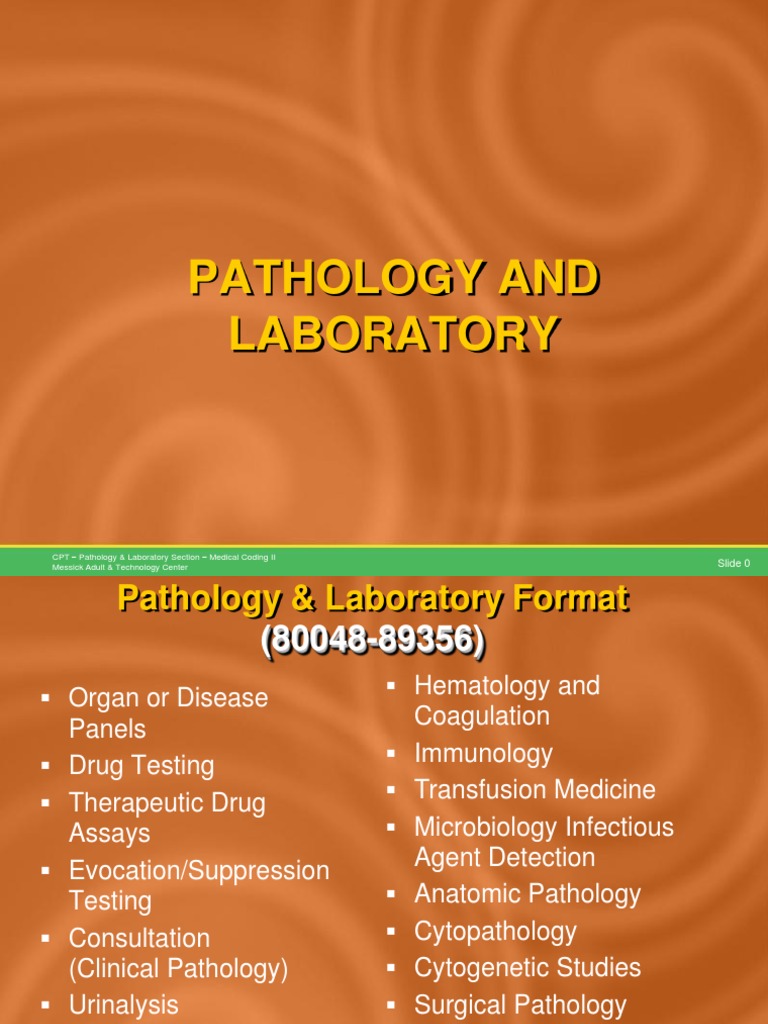 Pathology and Laboratory CPT Codes Explained PDF Surgical Pathology