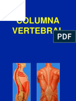 1- Columna Vertebral - Generalidades (1)