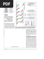 DNA Polymerase - Keeping You Cloned