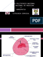 Citologia Cervical.