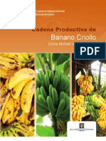 Cadena Productiva de Banano Criollo (Gros Michel) de Costa Rica 2011