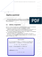 Algebra Matricial