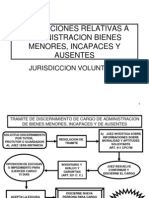 Discernimiento de Cargo de Administrador Bienes Menores