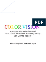 Color Vision Presentation1