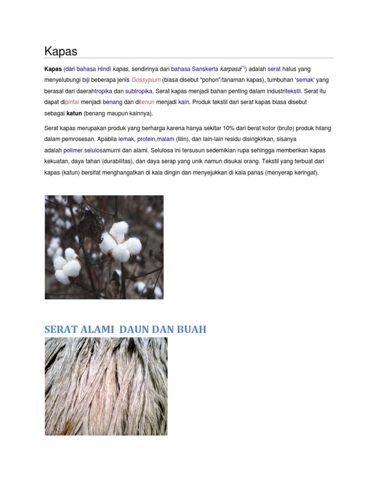 Kapas Serat Alami Daun Dan Buah
