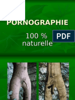 Pornographie 100 % Naturelle Curieux ! Non ?
