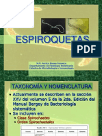 Espiroquetas Borrelia y Brachyspira 2013 BREVE