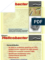 Helicobacter 2013