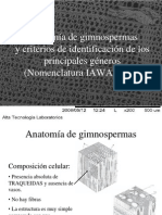 Anatomía de Gimnospermas