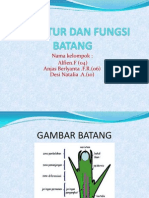 STRUKTUR_DAN_FUNGSI_BATANG.pptx